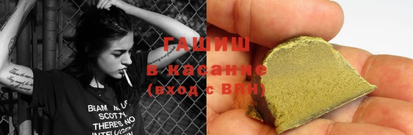 индика Бежецк