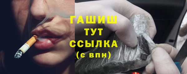 индика Бежецк