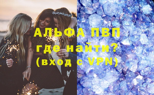 индика Бежецк