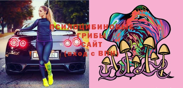 индика Бежецк