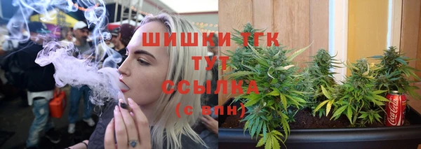 индика Бежецк