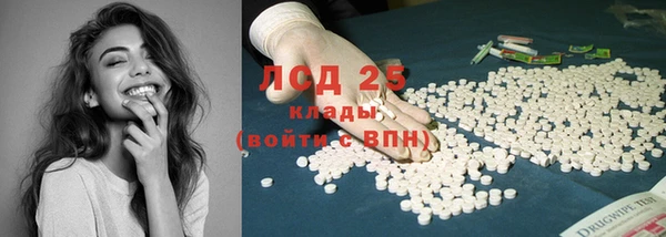 дмт Краснослободск