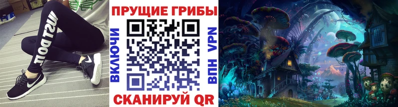 Галлюциногенные грибы Psilocybine cubensis  Льгов 